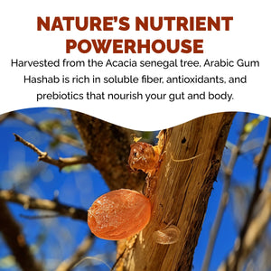 Savannah Soul Arabic Gum Hashab Pieces